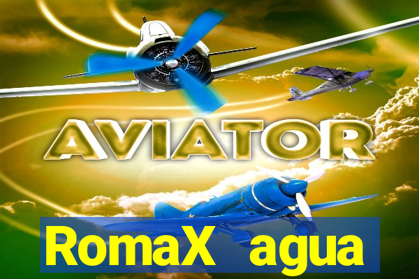 RomaX agua sanitaria fispq agua sanitaria romax